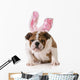 Easter Dog Wall Decal