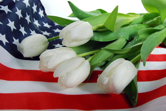 We Remember