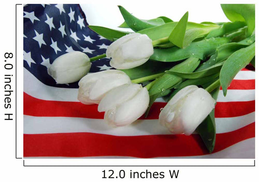 We Remember