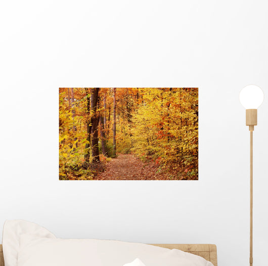 Fall Wall Mural