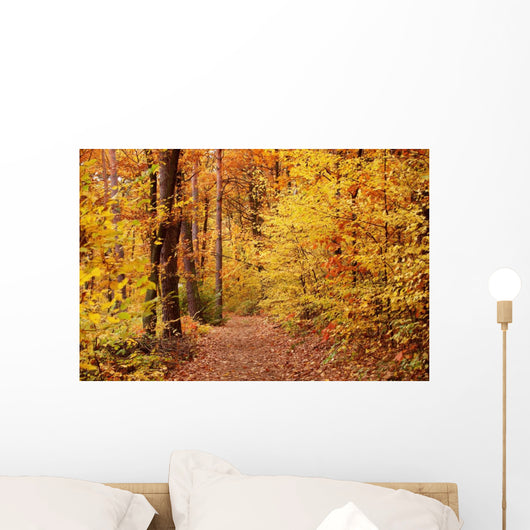 Fall Wall Mural