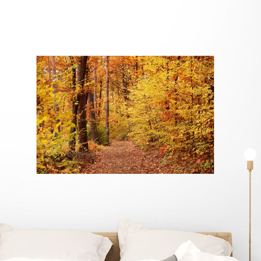 Fall Wall Mural