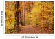 Fall Wall Mural