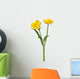 wild golden buttercup two flowers on white Wall Decal