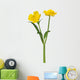 wild golden buttercup two flowers on white Wall Decal
