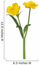 wild golden buttercup two flowers on white Wall Decal