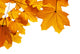 Corner Autumn Leaves Wall Decal