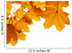 corner autumn leaves Wall Decal