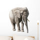 African Elephant Isolated on White with Clipping Path Wall Decal