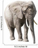 African Elephant Isolated on White with Clipping Path Wall Decal