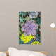  Miniature succulent plants Wall Mural