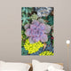  Miniature succulent plants Wall Mural