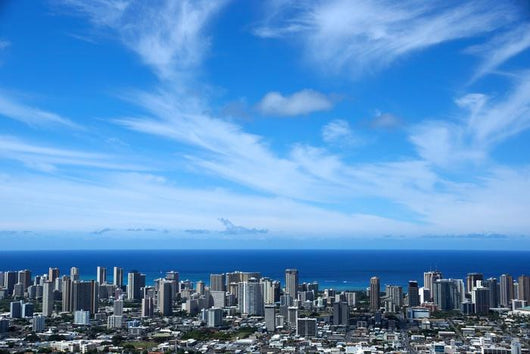 Honolulu Metropolitan Cityscape Wall Decal