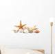 Seashells Sand White Wall Decal