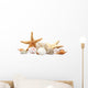 Seashells Sand White Wall Decal