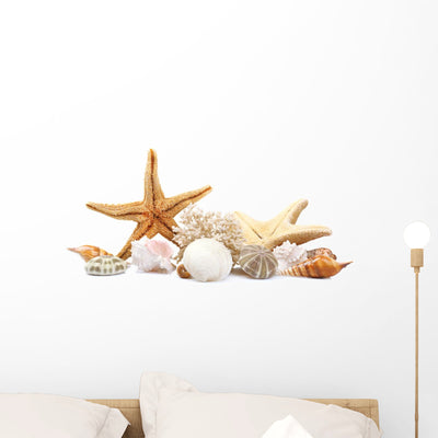 Seashells Sand White Wall Decal shown on a wall