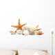 Seashells Sand White Wall Decal