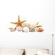 Seashells Sand White Wall Decal