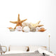 Seashells Sand White Wall Decal