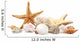Seashells Sand White Wall Decal