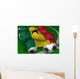 Ghana flag soccer Wall Mural
