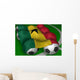 Ghana flag soccer Wall Mural