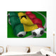 Ghana flag soccer Wall Mural