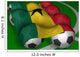 Ghana flag soccer Wall Mural
