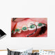 Teeth with braces Wall Mural