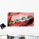 Teeth with braces Wall Mural