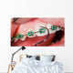 Teeth with braces Wall Mural