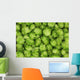 green hops background Wall Mural