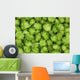 green hops background Wall Mural