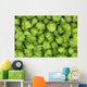 green hops background Wall Mural