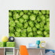 green hops background Wall Mural