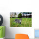 As Wall Decal