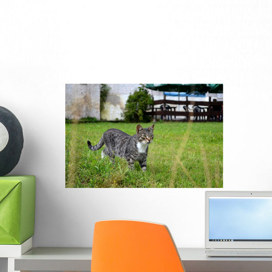 As Wall Decal