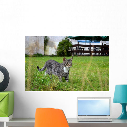 As Wall Decal
