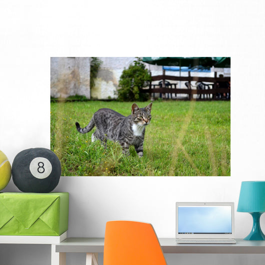 As Wall Decal
