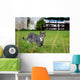 As Wall Decal