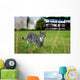 As Wall Decal