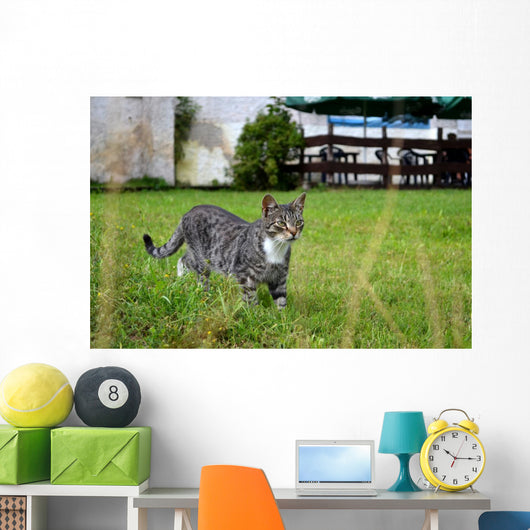 As Wall Decal