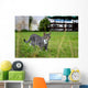 As Wall Decal