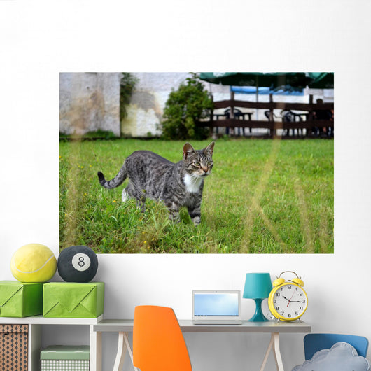 As Wall Decal