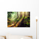 Beautiful scene misty old autumn forest Wall Mural