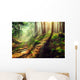 Beautiful scene misty old autumn forest Wall Mural