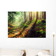 Beautiful scene misty old autumn forest Wall Mural