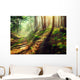 Beautiful scene misty old autumn forest Wall Mural