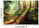 Beautiful scene misty old autumn forest Wall Mural