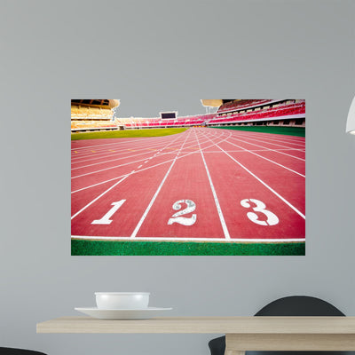 Stadium Wall Decal 2 shown on a wall